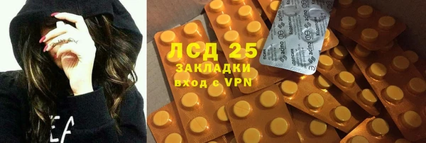 эйфоретик Алзамай