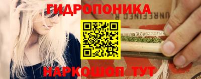 ешки Можга