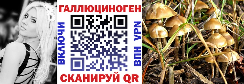 Галлюциногенные грибы MAGIC MUSHROOMS blacksprut ССЫЛКА Волоколамск