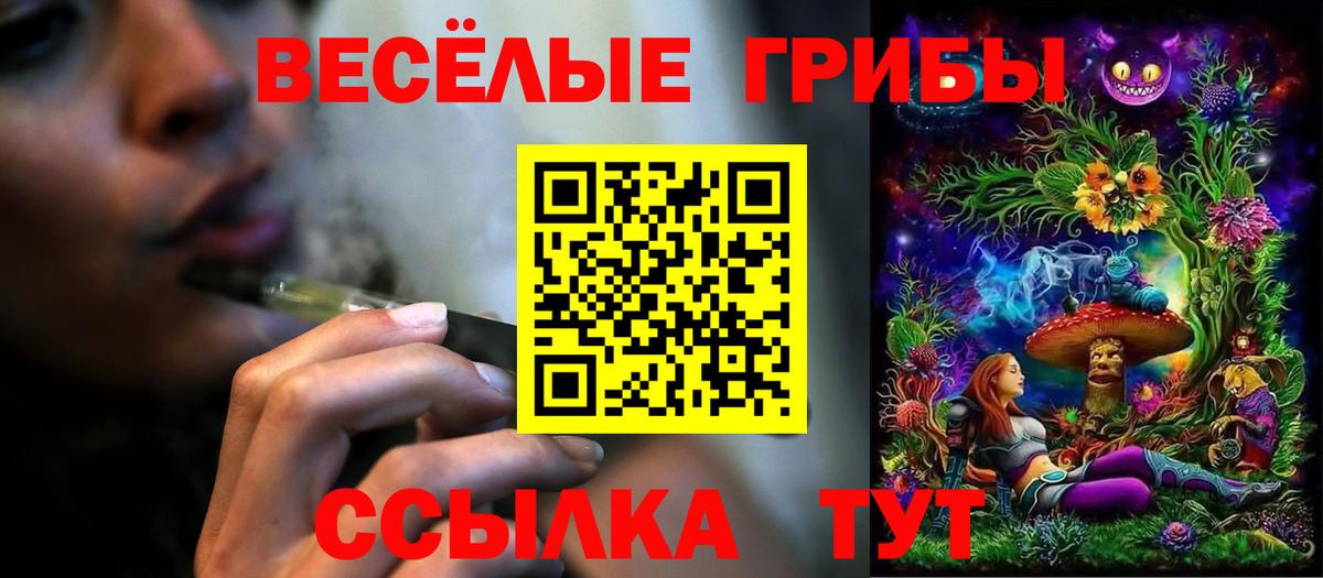 Волоколамск  Псилоцибиновые грибы MAGIC MUSHROOMS  Вход с VPN 